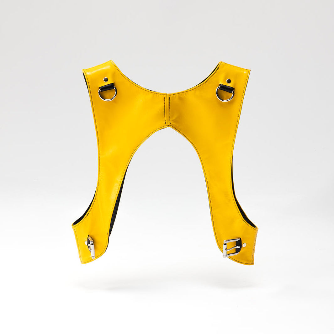 Northstar Bumblebee Chest Rig