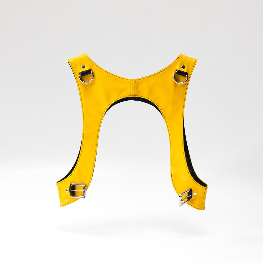 Northstar Bumblebee Chest Rig