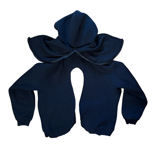Double Wing Hoodie