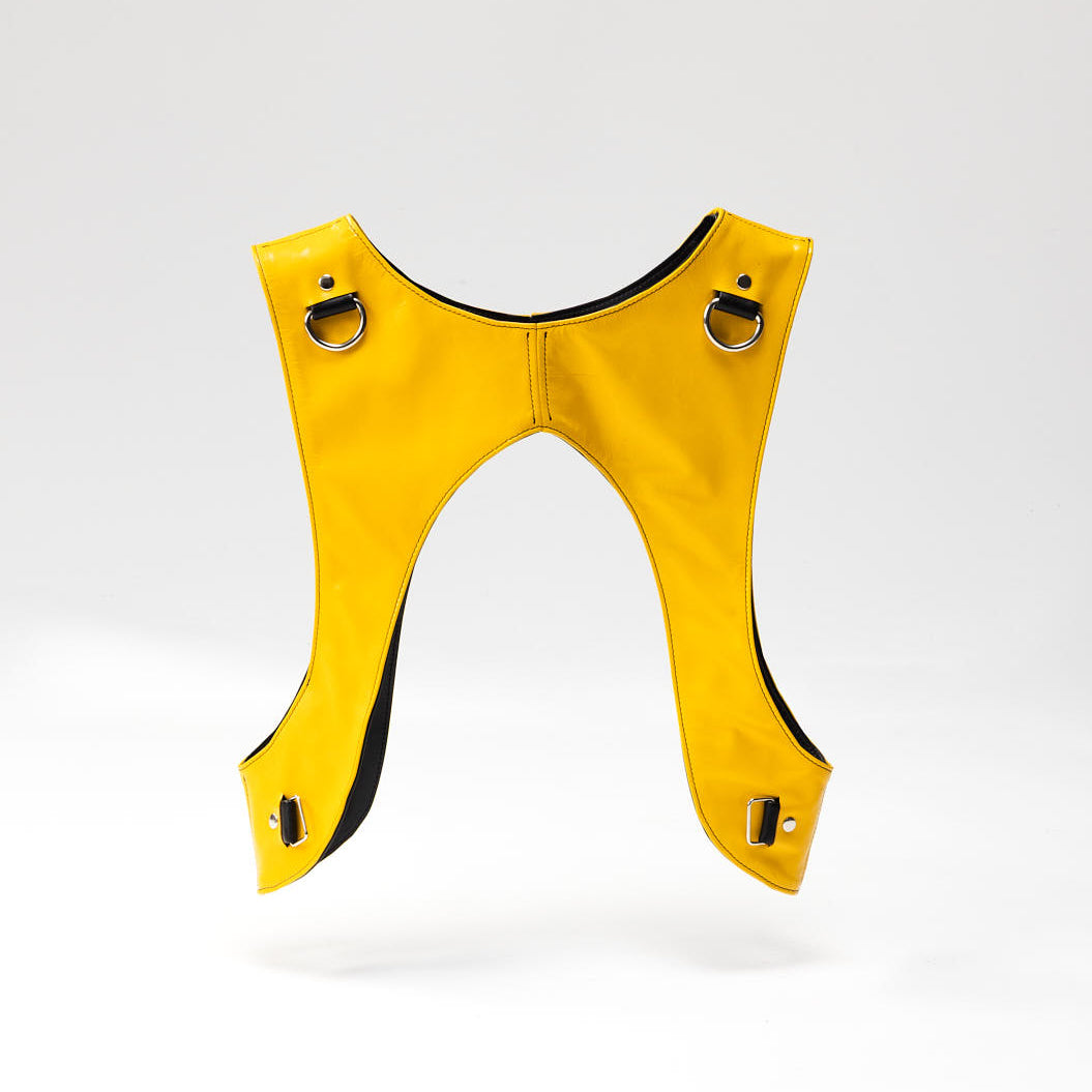 Northstar Bumblebee Chest Rig